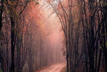 开云体育官方网站-LGD横扫T1，JackeyLove操刀奇招英雄翻盘入围赛2:1